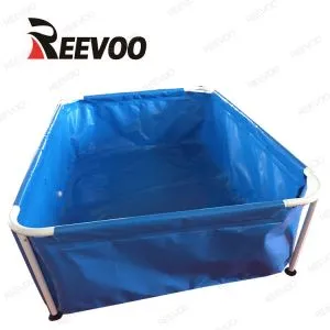 Mở bể cá hàng đầu