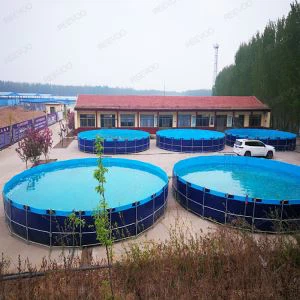 Bể nuôi cá bằng nhựa vải